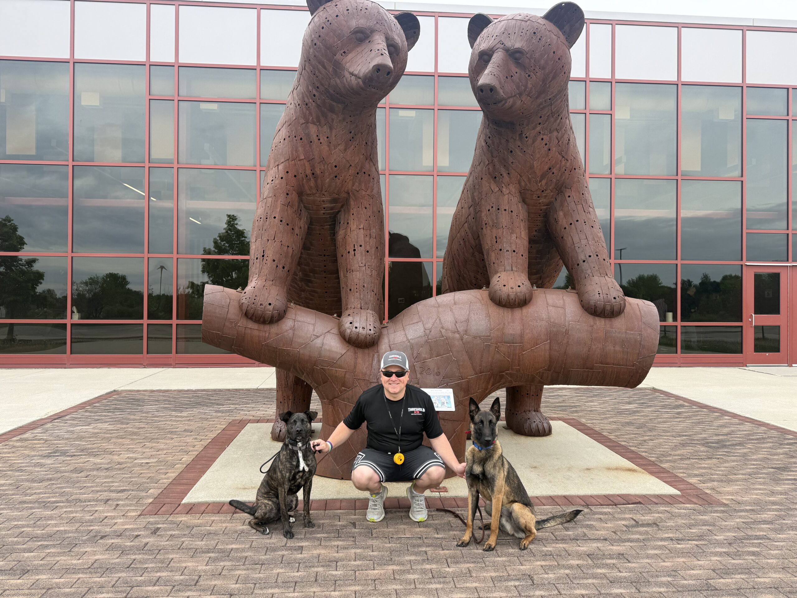 Dog Training in Rochester MN Threshold K9